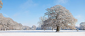热火险胜尼克斯，巴特勒送出制胜关键球