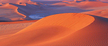 卡洛斯率队获得胜利，进入亚冠决赛！